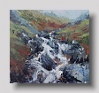 inverhaggernie burn III    oil on canvas  50 x 47cm